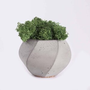 Шаблон карточки товара plant4 free img