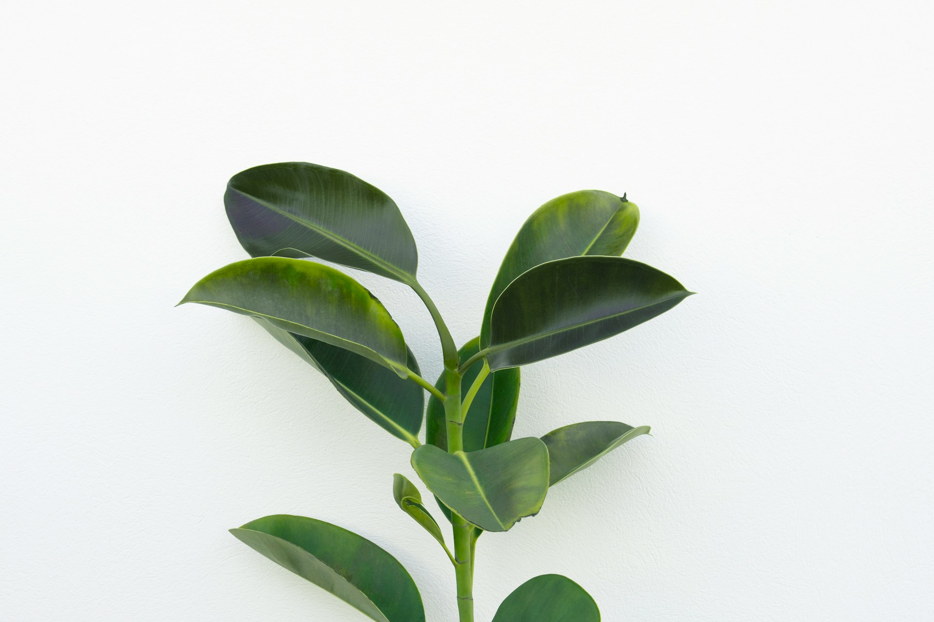 agata-create-XeNKWTiCPNw-unsplash agata create xenkwticpnw unsplash
