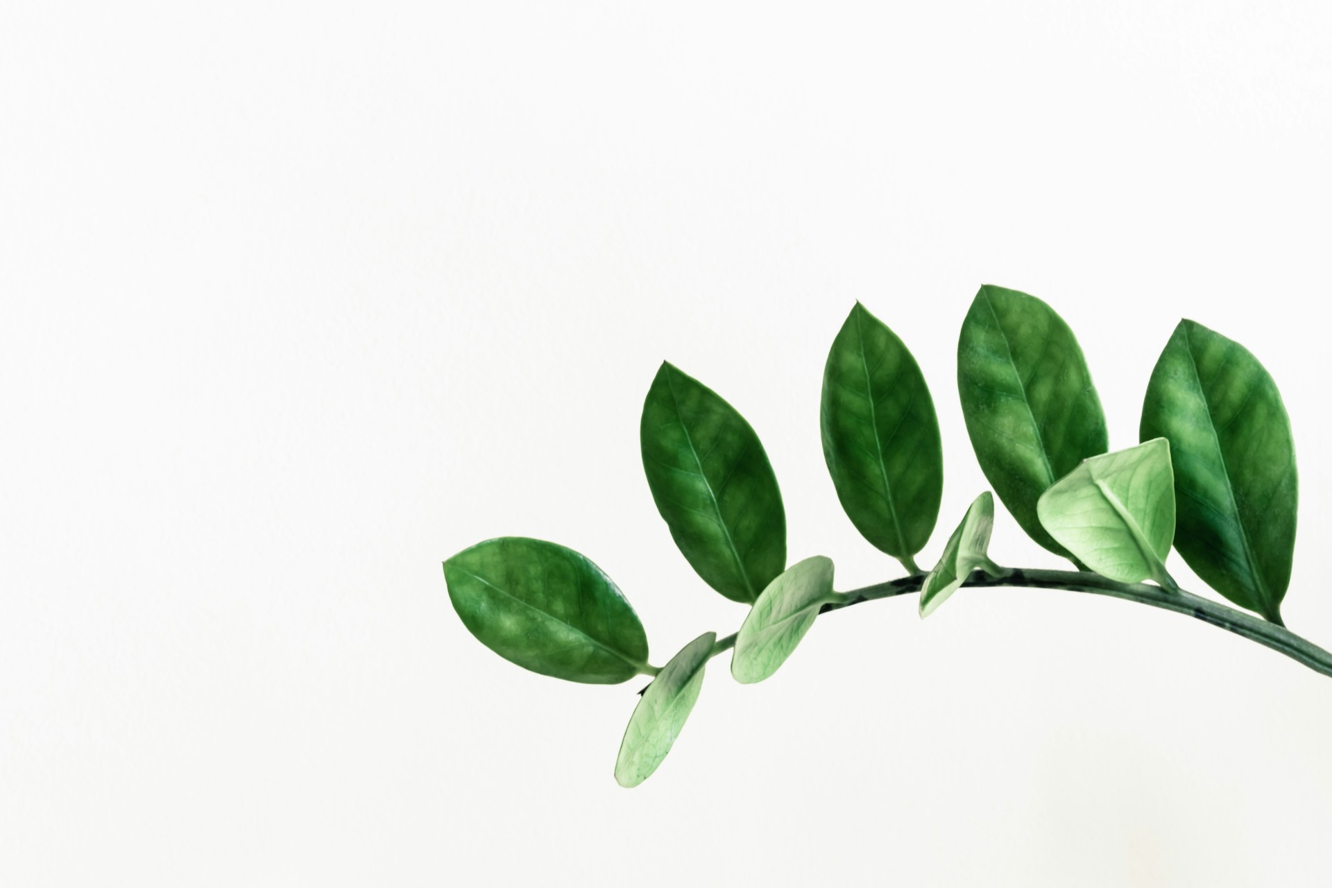 pawel-czerwinski-lWBZ01XRRoI-unsplash pawel czerwinski lwbz01xrroi unsplash